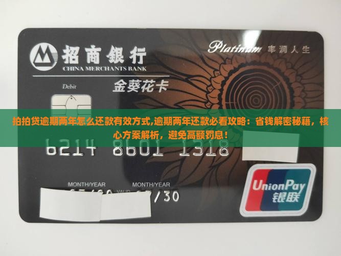 拍拍贷逾期两年怎么还款有效方式
