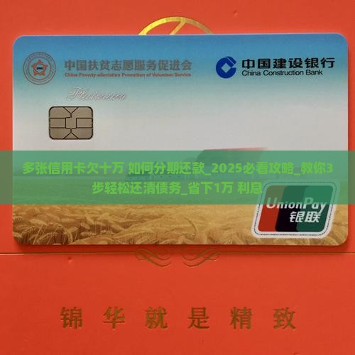 多张信用卡欠十万如何分期还款