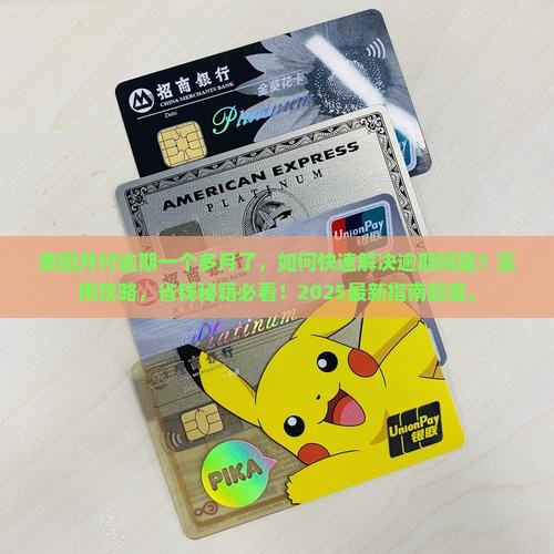 美团月付逾期一个多月了