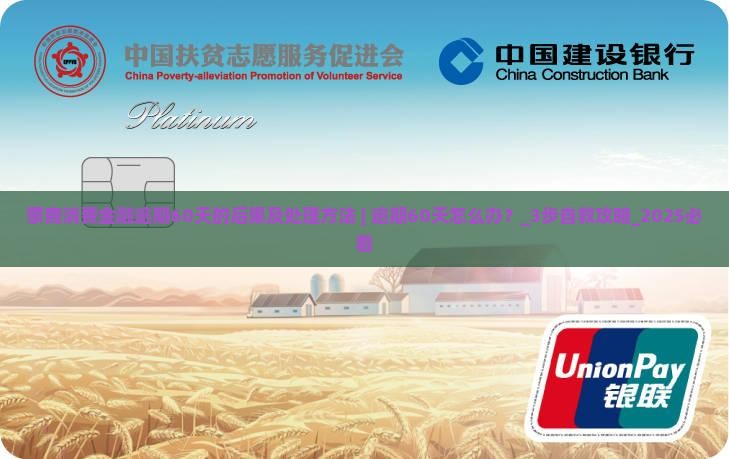 蒙商消费金融逾期60天的后果及处理方法