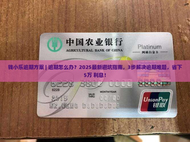 钱小乐逾期方案