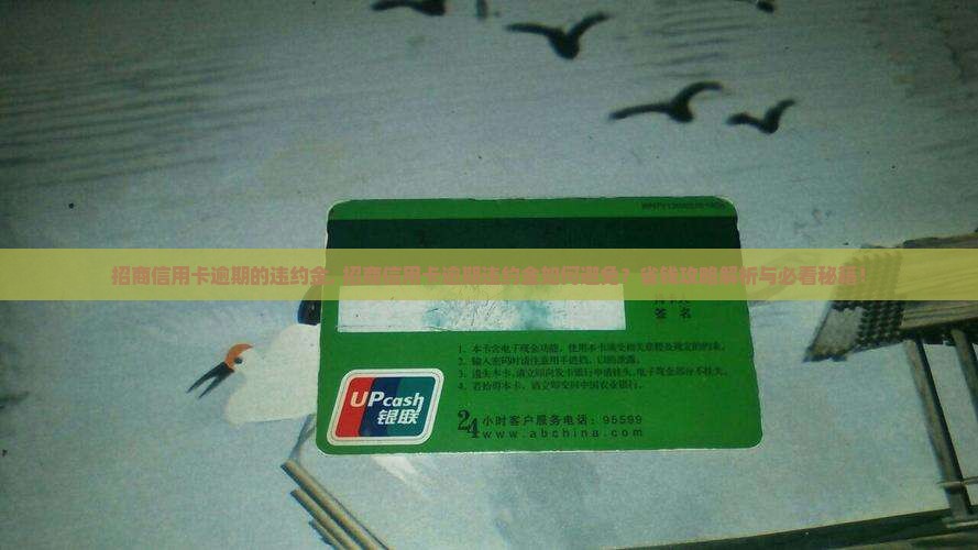 招商信用卡逾期的违约金