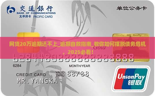网贷20万逾期还不上