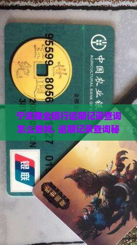 宁波商业银行逾期记录查询怎么查找