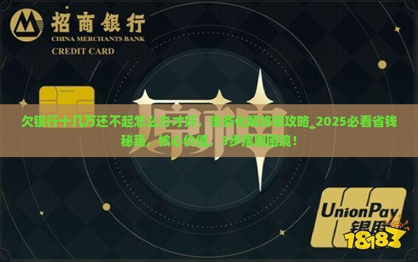 欠银行十几万还不起怎么办才好