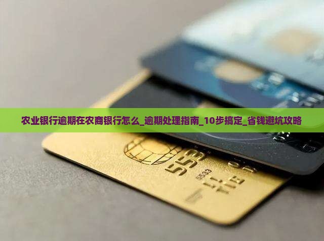 农业银行逾期在农商银行怎么办理