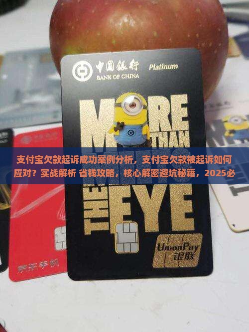 支付宝欠款起诉成功案例分析