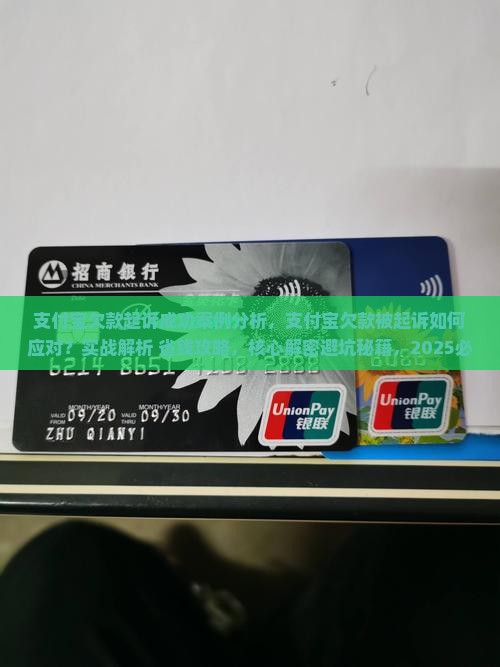 支付宝欠款起诉成功案例分析