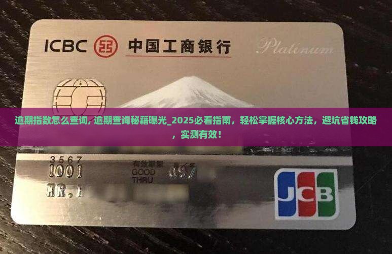 360借条逾期指数怎么查询
