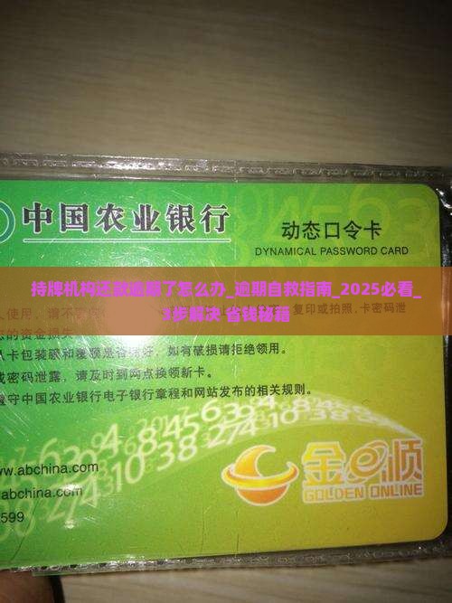 持牌机构还款逾期了怎么办