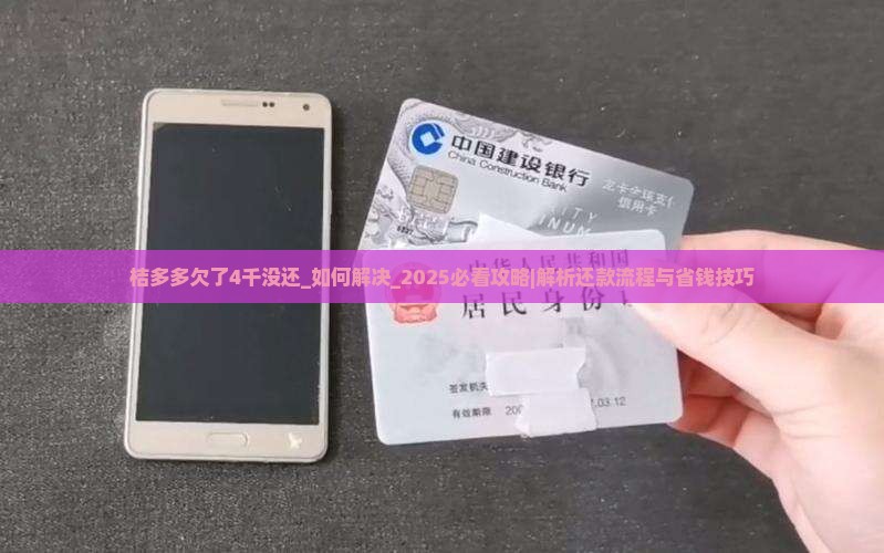 桔多多欠了4千没还