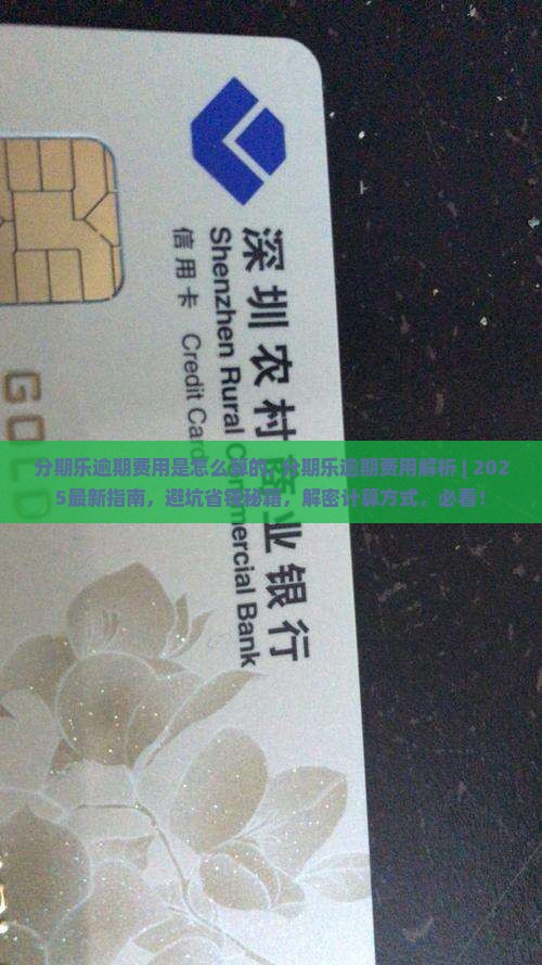 分期乐逾期费用是怎么算的