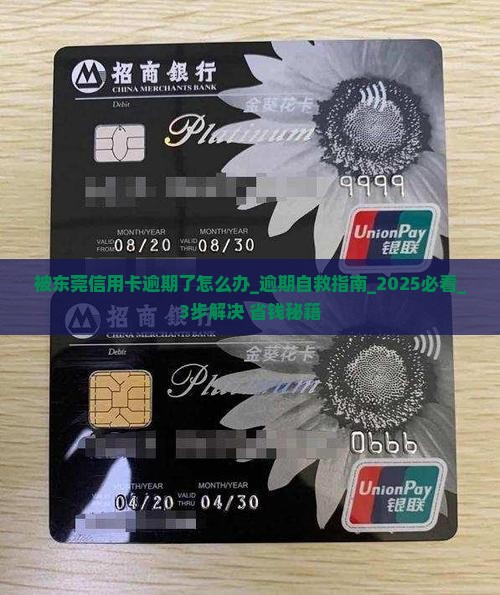 被东莞信用卡逾期了怎么办