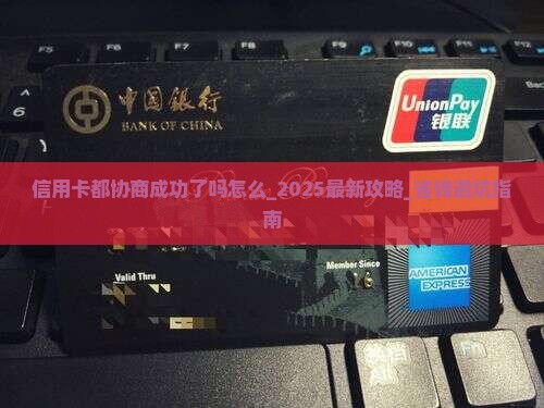 信用卡都协商成功了吗怎么办理