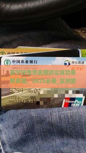 苏宁任性贷逾期诉讼成功率有多高