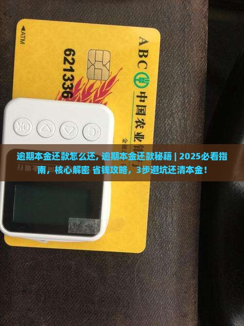 微粒贷逾期本金还款怎么还