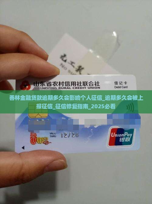善林金融贷款逾期多久会影响个人征信