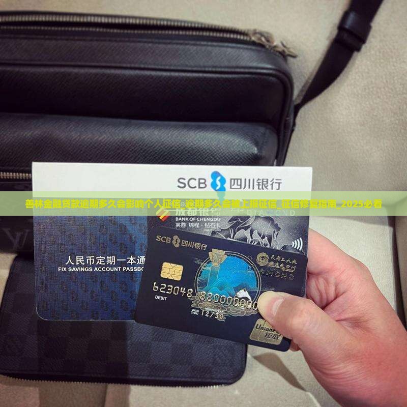 善林金融贷款逾期多久会影响个人征信