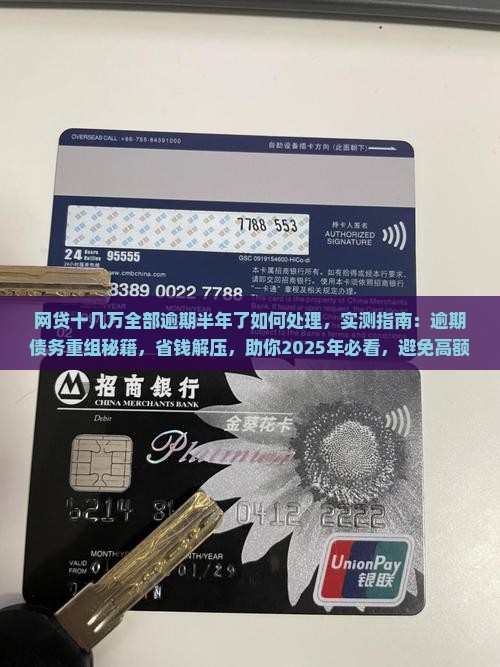 网贷十几万全部逾期半年了如何处理