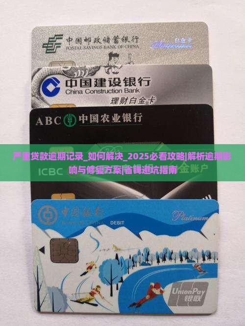 严重贷款逾期记录