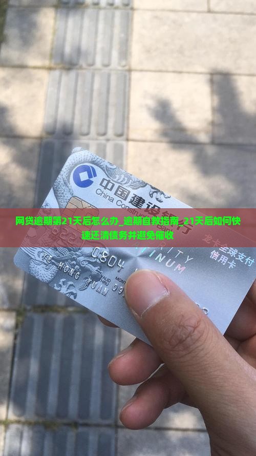 网贷逾期第21天后怎么办