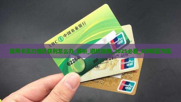 信用卡无力偿还获刑怎么办
