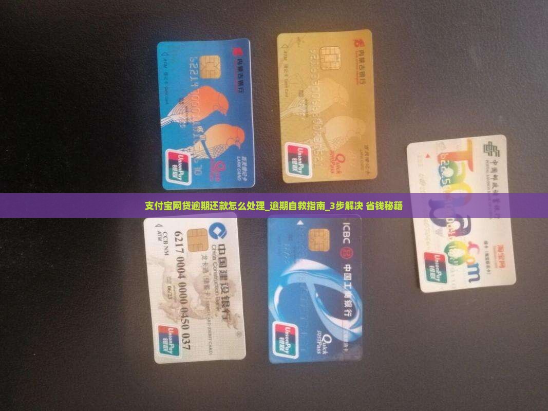 支付宝网贷逾期还款怎么处理