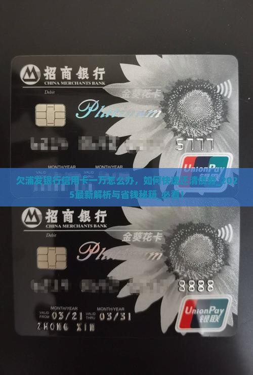 欠浦发银行信用卡一万怎么办
