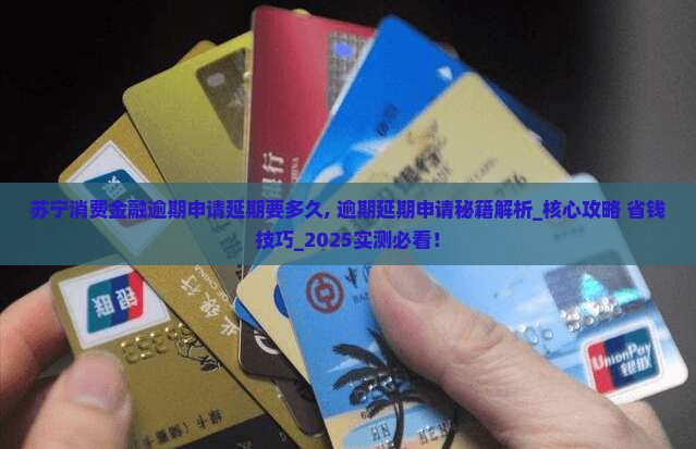 苏宁消费金融逾期申请延期要多久