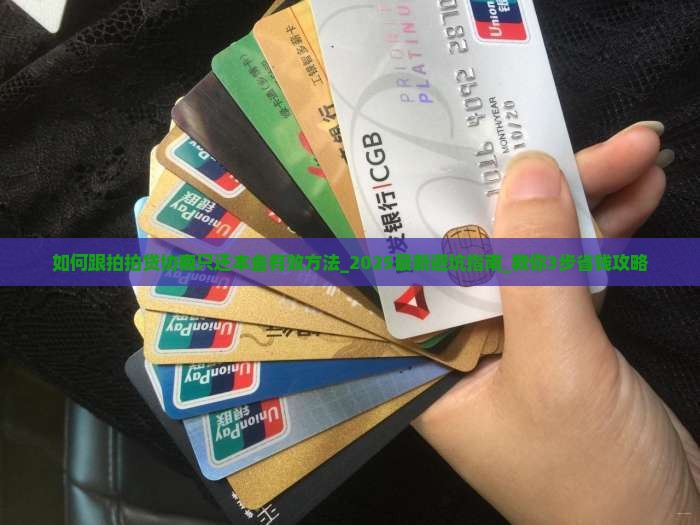如何跟拍拍贷协商只还本金有效方法 如何跟拍拍贷协商只还本金有效方法