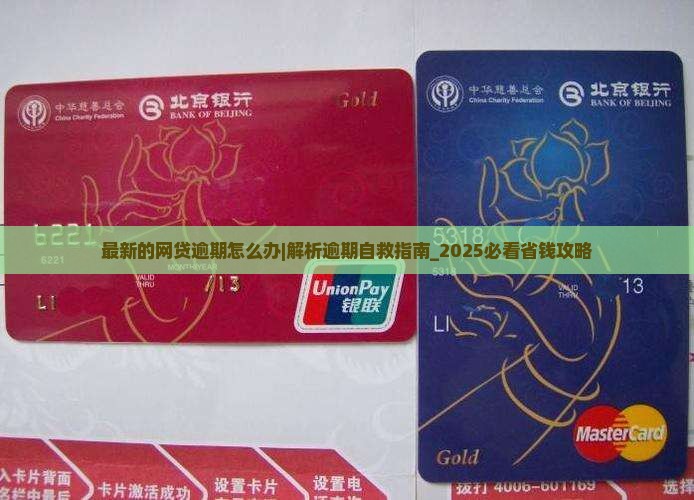 最新的网贷逾期怎么办