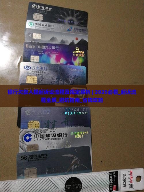 银行欠款人提起诉讼流程及规定解析