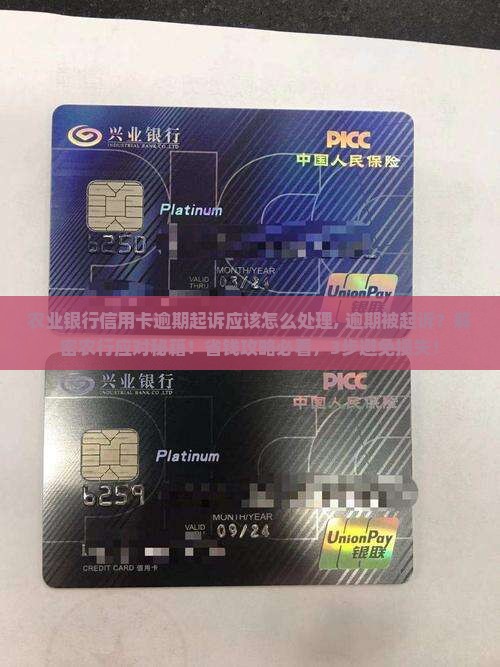 农业银行信用卡逾期起诉应该怎么处理