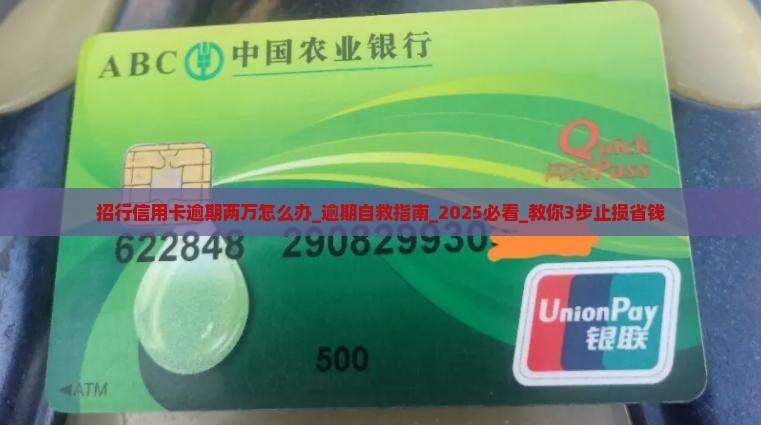 招行信用卡逾期两万怎么办
