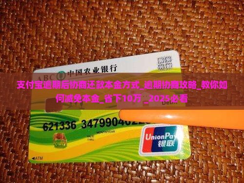 支付宝逾期后协商还款本金方式