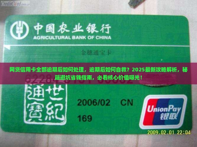 网贷信用卡全部逾期后如何处理