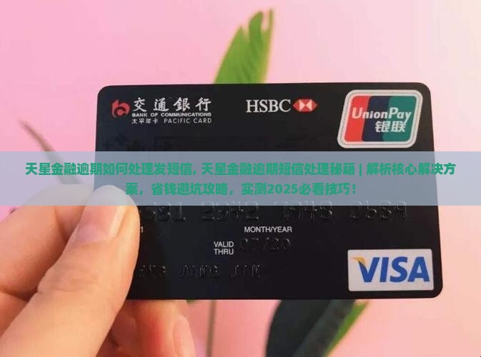天星金融逾期如何处理发短信