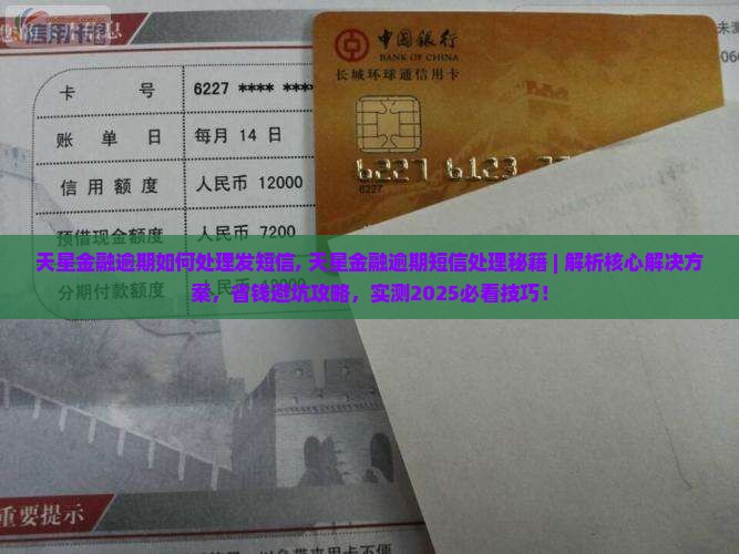 天星金融逾期如何处理发短信