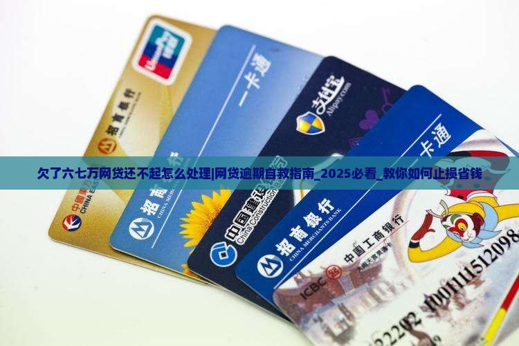 欠了六七万网贷还不起怎么处理