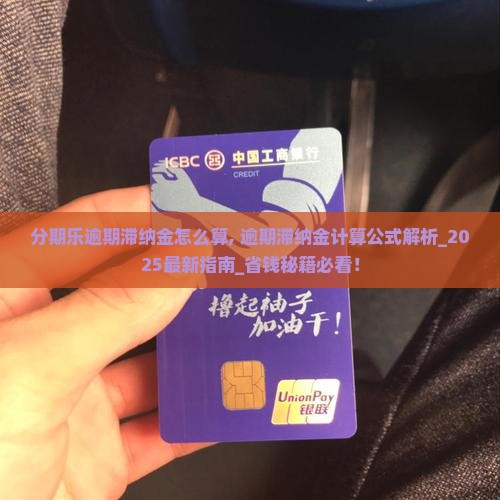 分期乐逾期滞纳金怎么算