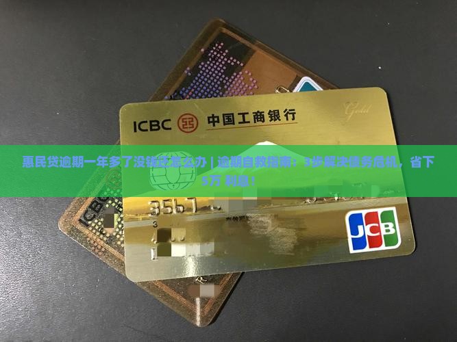 惠民贷逾期一年多了没钱还怎么办