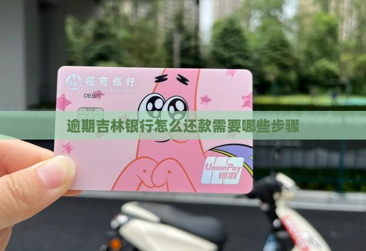 逾期吉林银行怎么还款需要哪些步骤