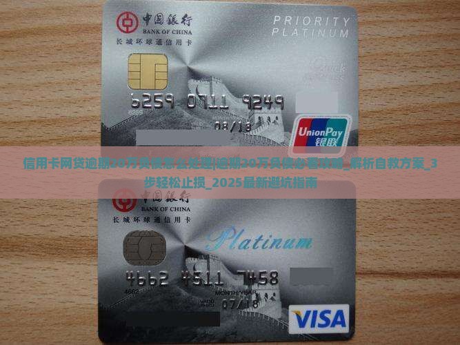信用卡网贷逾期20万负债怎么处理