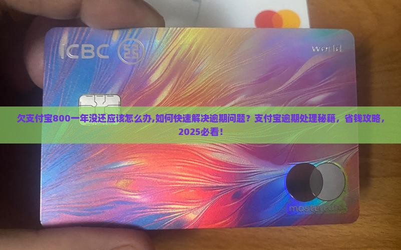 欠支付宝800一年没还应该怎么办