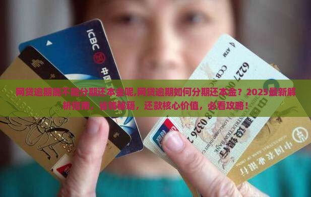 网贷逾期能不能分期还本金呢