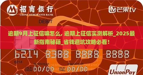 信用飞逾期9月上征信嘛怎么办理
