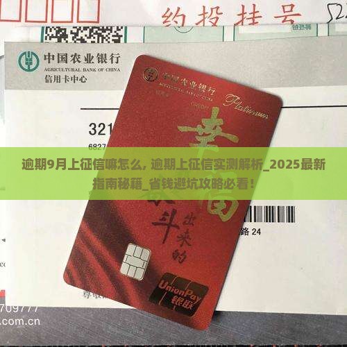 信用飞逾期9月上征信嘛怎么办理