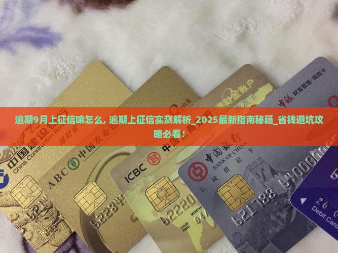 信用飞逾期9月上征信嘛怎么办理