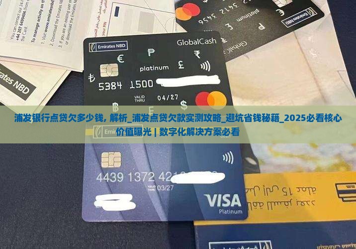 浦发银行点贷欠多少钱