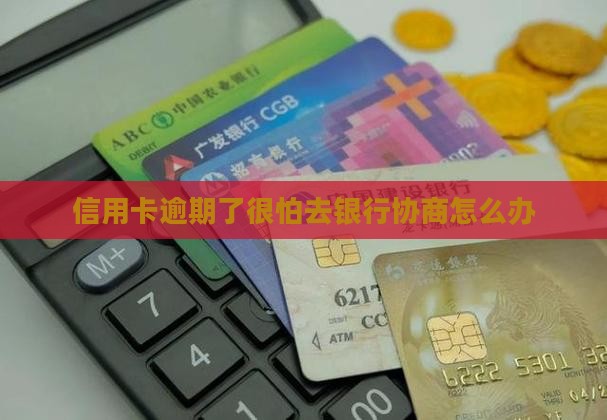 信用卡逾期了很怕去银行协商怎么办
